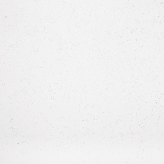 Snow Orchid