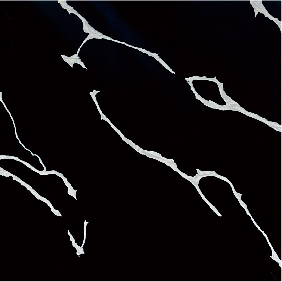 Waiss Black Quartz